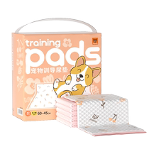 FOFOS deux tampons pipi pour chien à fourrure épaissis fournitures pour animaux de compagnie couches jetables absorbantes désodorisantes couches pour chiens