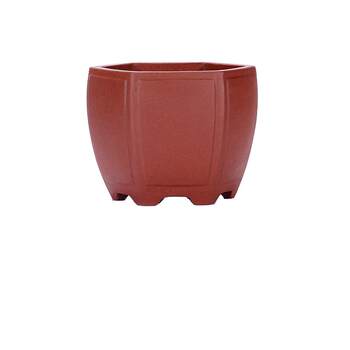 Balcony potted succulent purple clay classic