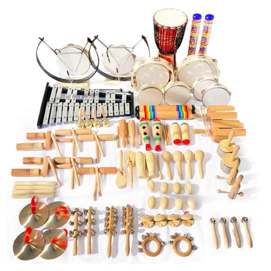 Professional Orff instrument percussion music class teaching