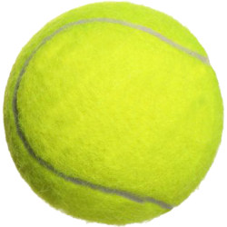 Boca Tennis Beginner Highly Elastic and Durable Training Tennis Wear-Resistant Massage Pet Ball for Junior and Intermediate Competitions