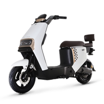 (Pick up in store) Luyuan liquid-cooled electric vehicle ZG6 new national standard long-range electric mobility scooter no driver’s license required
