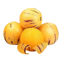 Ginseng fruit seedlings ginseng fruit trees fruit seedlings sapodilla seedlings balcony planting seedlings potted plants