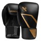 HAYABUSAE1 Boxing Gloves Sanda Fighting