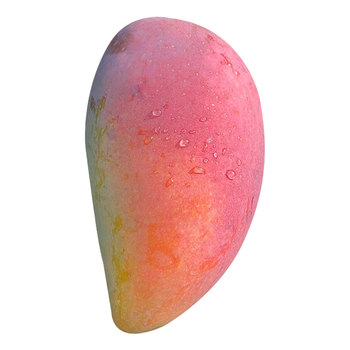 Naturally ripe, don’t pick early! | hainan guifei mango