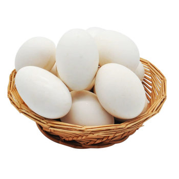 12 pieces of 120-150g double yolk large goose eggs farm-raised free-range grains fresh and picked up on the same day