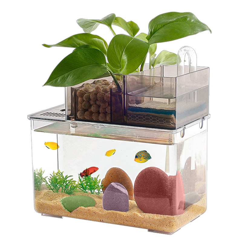 Fish tank small living room desk home ecological landscaping