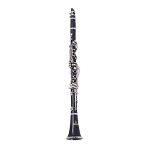 SF Jinbao JBCL-510 clarinet clarinet treble B flat beginner performance test