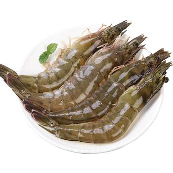 Net weight of prawns, ice-free, freshly caught, quick-frozen