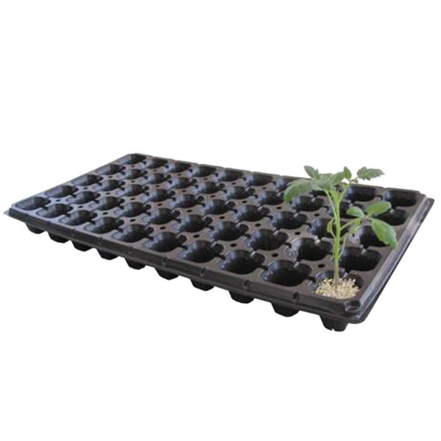 Succulent thickened nutritious pot seedling tray