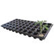 Succulent thickened nutritious pot seedling tray