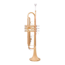 Jinyin trumpet instrument in B flat for beginners entry-level students children and adults professional performance JYTR-S300