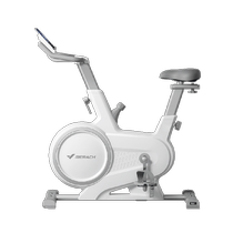 Merrick dynamic bicycle home silent fitness bicycle indoor magnetic control cycling exercise equipment Jueying S3