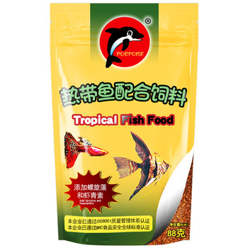 Dolphin tropical fish feed small particle patch