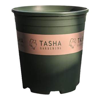 Tasha's Garden Tasha's Customized Gallon Pot Pot Plastic Flower Pot Thickened Extra Root-Controlling Tray Chassis Simple