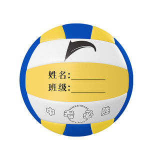 Special volleyball no. 5 for high school entrance examination
