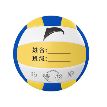 Special volleyball no. 5 for high school entrance examination