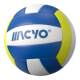 2026 High School Physical Examination Standard No. 5 Volleyball Student