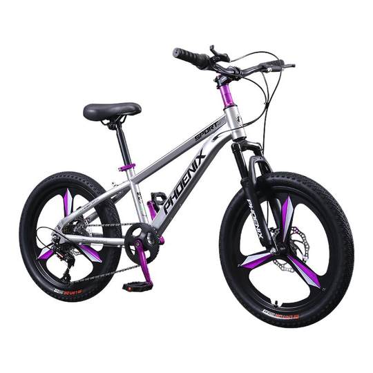 凤凰儿童车自行车10到15岁女孩青少年中大童男孩山地变速学生单车