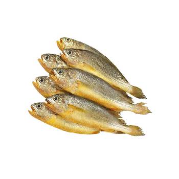 Haoshiwei freshly caught east china sea small yellow croaker