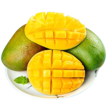 Freshly picked Kate mango fresh green mango seasonal tropical fruit special natural ripe sweet apple mango 9 catties whole box