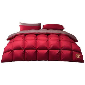 Mercury 95% white goose down type a antibacterial winter quilt
