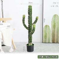 Симуляция восьмиугольная сказка C.