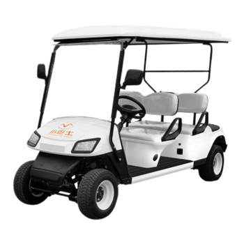 Mini bus golf cart