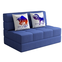 Foldable small sofa bed tatami bed dual-use single double bedroom home lazy bed small apartment internet celebrity model