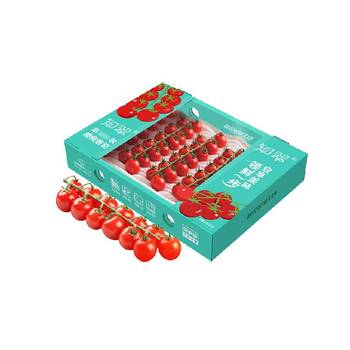 Zhicui chuan harvested cherry tomatoes eat raw and ripen naturally