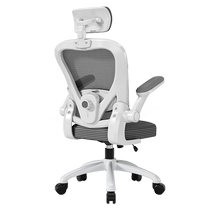 Body Ergonomics Chair Home Long Sitting Comfort Office Chair Book Room Desk Study Chair Dorm Electric Race Computer Chair