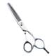 Agus scissors, hairdressing flat scissors, tooth scissors, measuring scissors