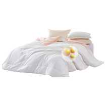 Mercury Home Textiles Soybean 2-in-1 Quilt Class A Antibacterial Quilt Core Single Double Bed Mother Quilt Four Seasons Quilt Bedding