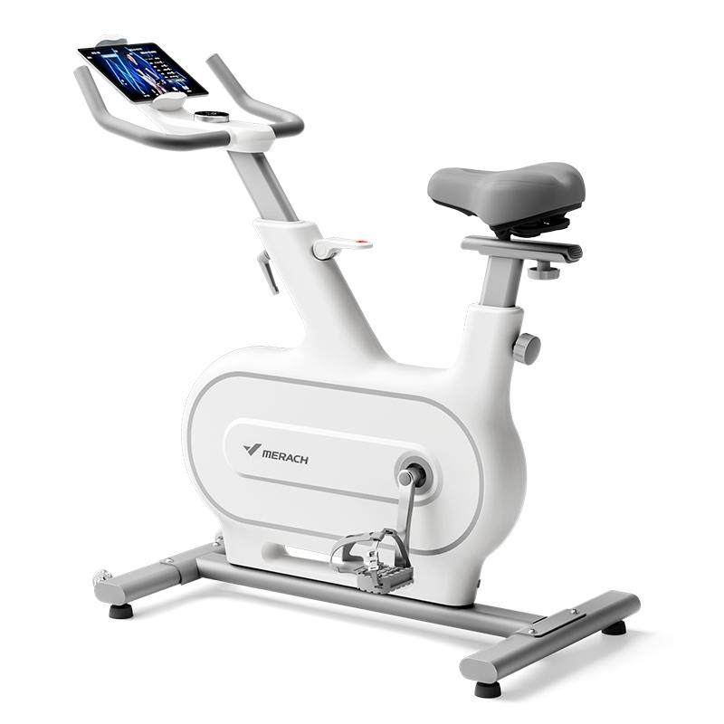 Merrick Jueying one spinning bike for home use for weight loss