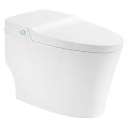 Wrigley smart toilet, high-impact, no water pressure limit, full-function dual-mode induction flushing, flip-up toilet