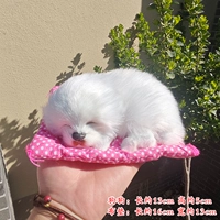 Розовый тканевый коврик для спящих собак — чистый белый, без подарков.