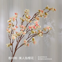 Красота ссылается на порошок вишневого шампанского