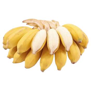 Authentic guangxi millet banana, seasonal fresh fruit, small banana, straight-haired small banana, sweet and sour banana, small banana in season