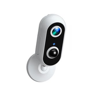 Door surveillance camera