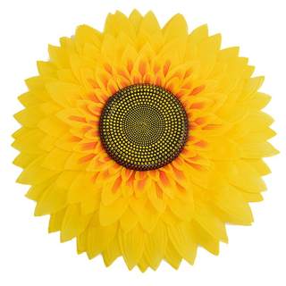 Dance props sports performance sunflower flowers