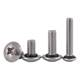 Stainless steel large flat round head cross waterproof screw