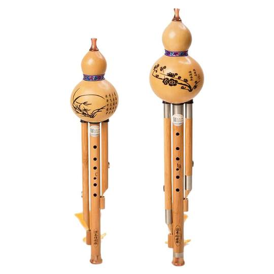 Кассия тыквы профессионального качества с семью и восемью лунками