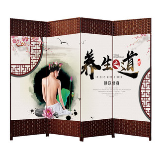 Beauty salon health club screen curtain foldable mobile partition wall simple living room bedroom push-pull modern simplicity