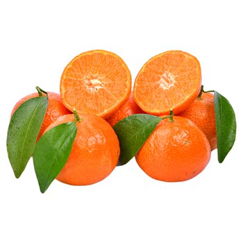 Authentic guangxi sugar orange 9jin jin is equal to 0.5kg fresh fruit seasonal super sweet orange boutique seedless small sugar orange