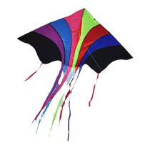 Spring new bump color Butterfly Adults Special Large Cartoon Breeze easy to fly beginners with wire wheel kite tide