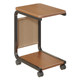 Computer host bracket with pulley storage tray
