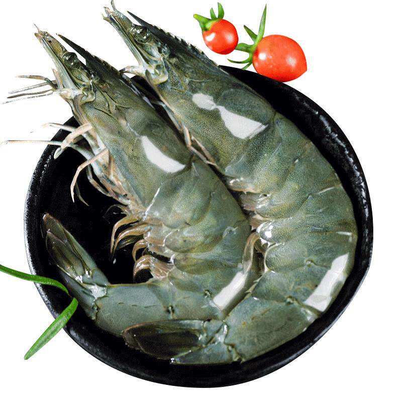 Extra large shrimp 22 cm new supply directly from the dock