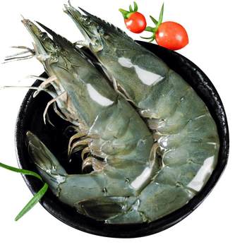 Extra large shrimp 22 cm new supply directly from the dock