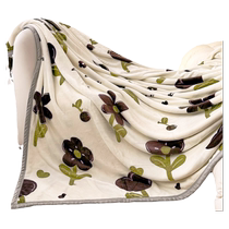 Milk Velvet Blanket Winter Thickened Coral Velvet Sheet Air Conditioning Cover Blanket Student Dormitory Office Nap Small Blanket