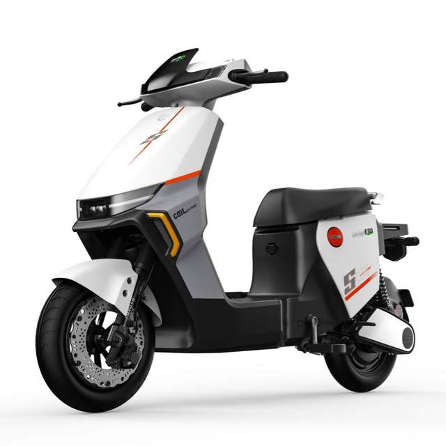Green Source Long-range Electric Bicycle S70-D