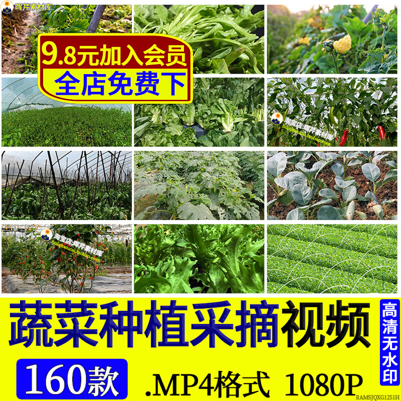 Organic Farm Stock Video Clips